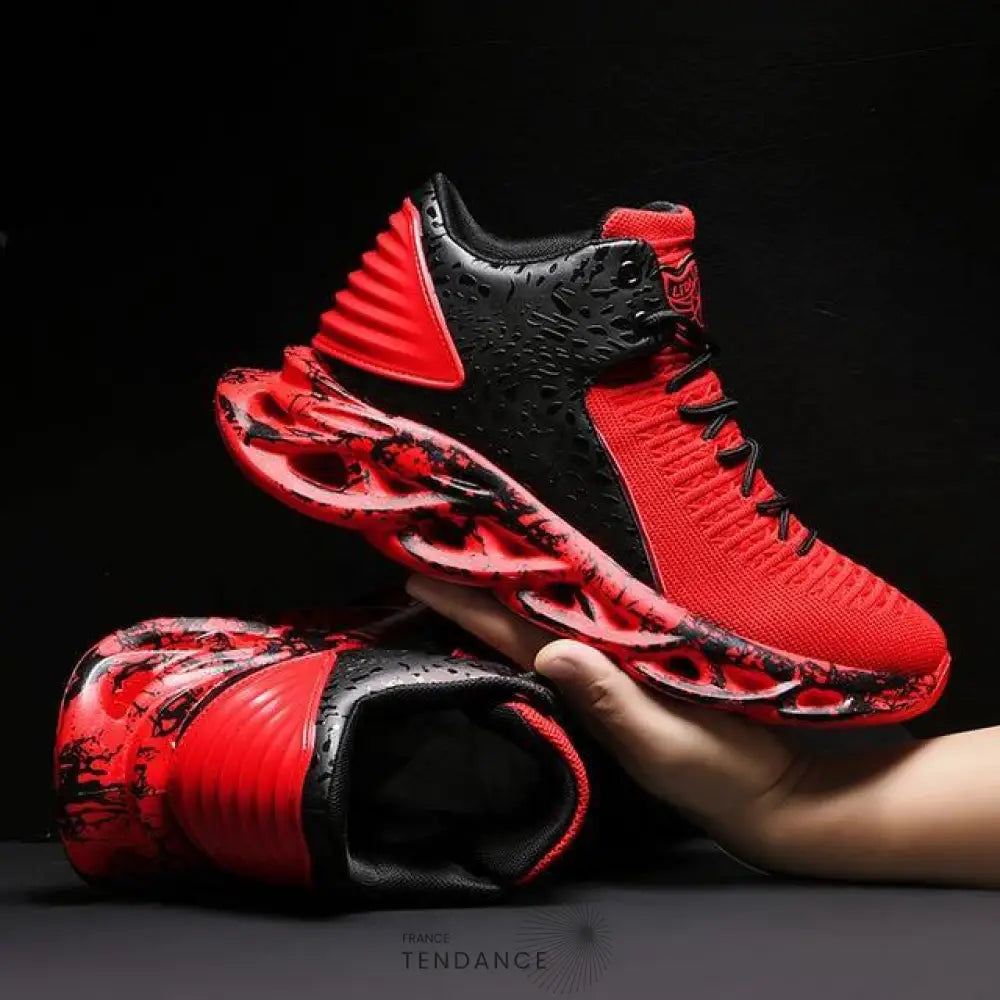 Baskets Apollo | France-Tendance