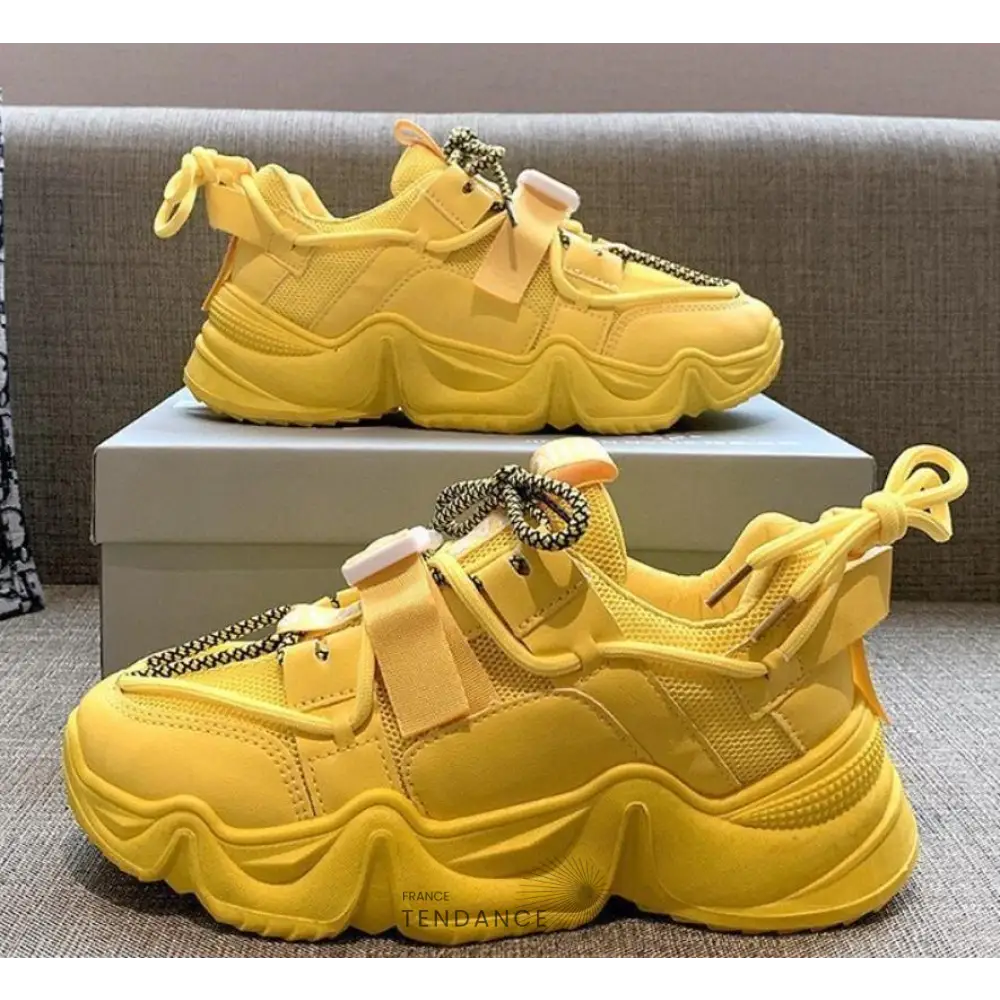 Baskets Forge | France-Tendance