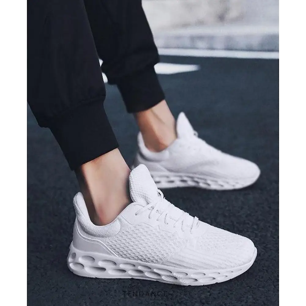 Baskets Fox | France-Tendance