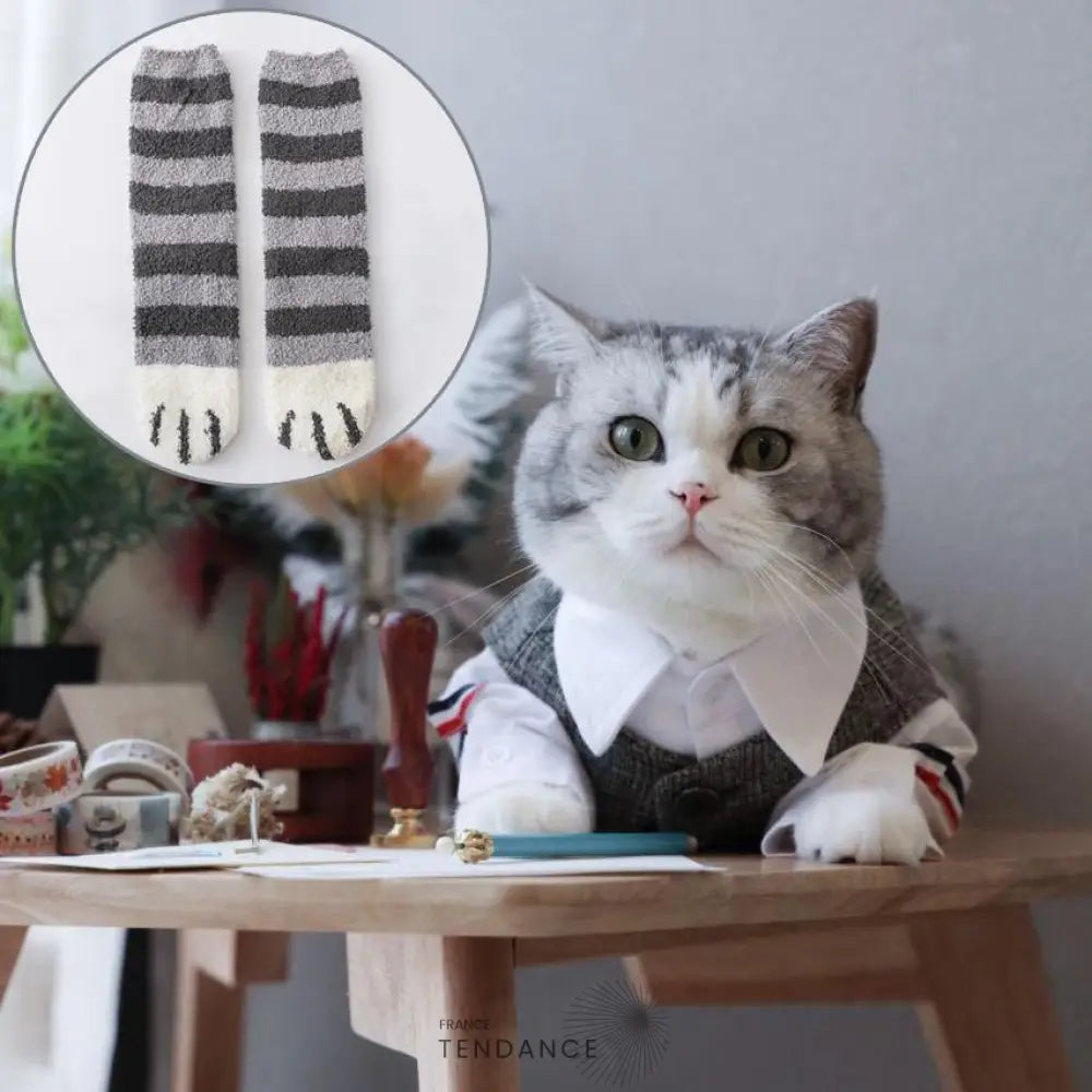 Chaussettes Pattes De Chat | France-Tendance