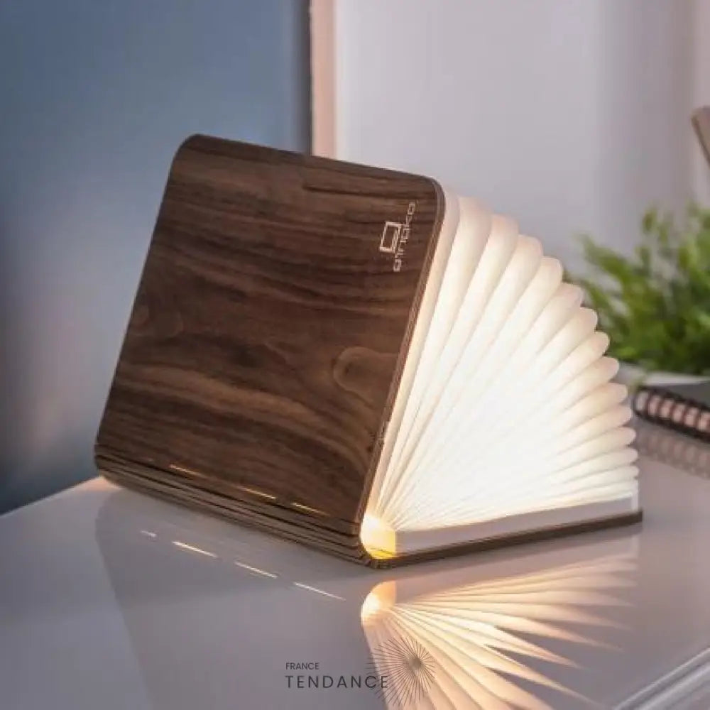 Lampe Livre Lumineux Gonku™ | France-Tendance