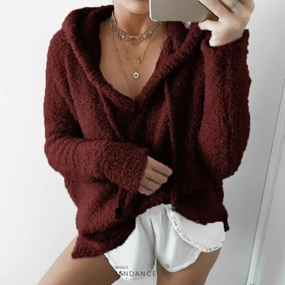 Pull Doux à Capuche | France-Tendance