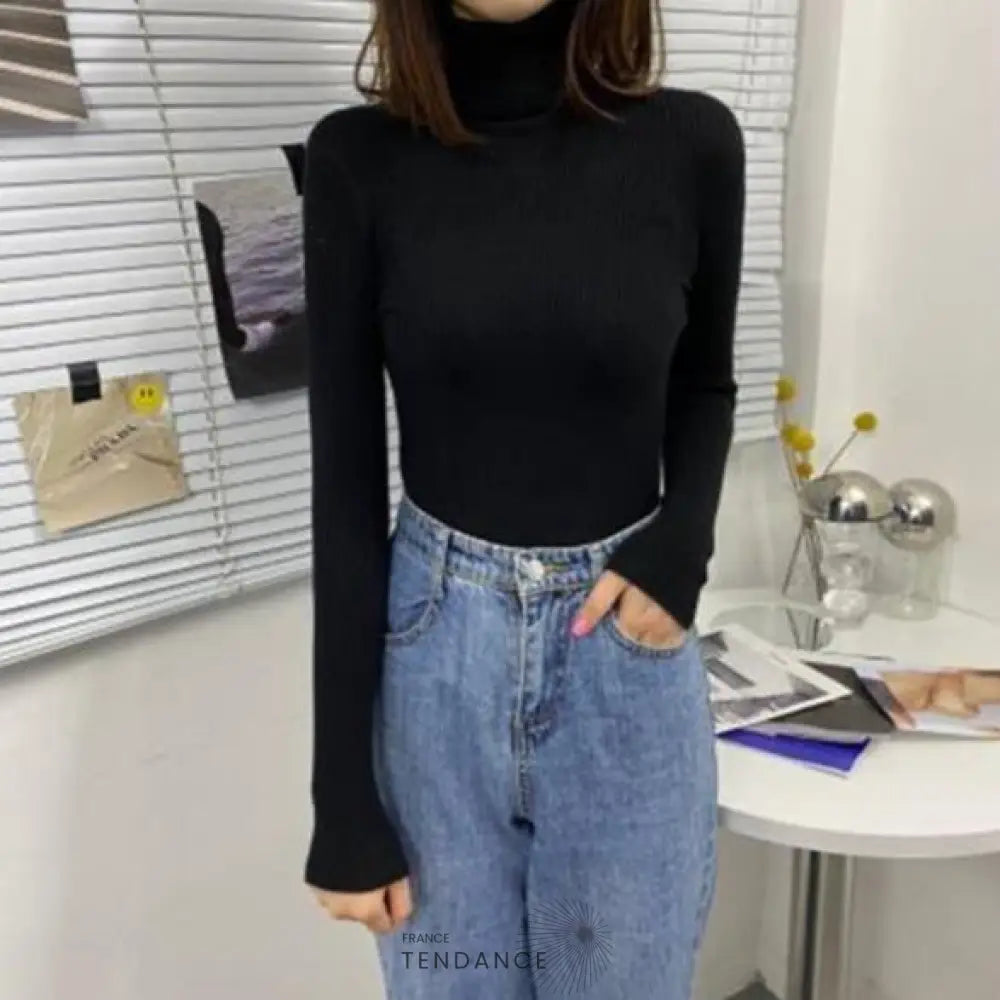 Pull Tricoté à Col Roulé | France-Tendance