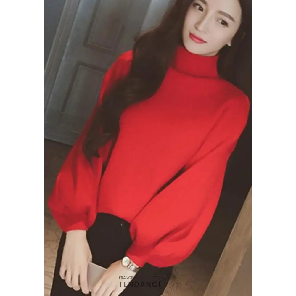 Pull Turtleneck | France-Tendance