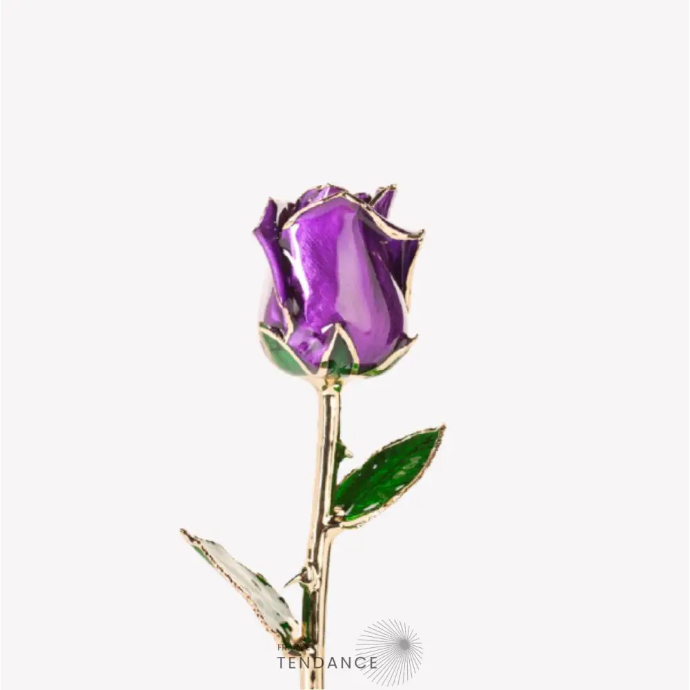 Rose En Or Violette | France-Tendance