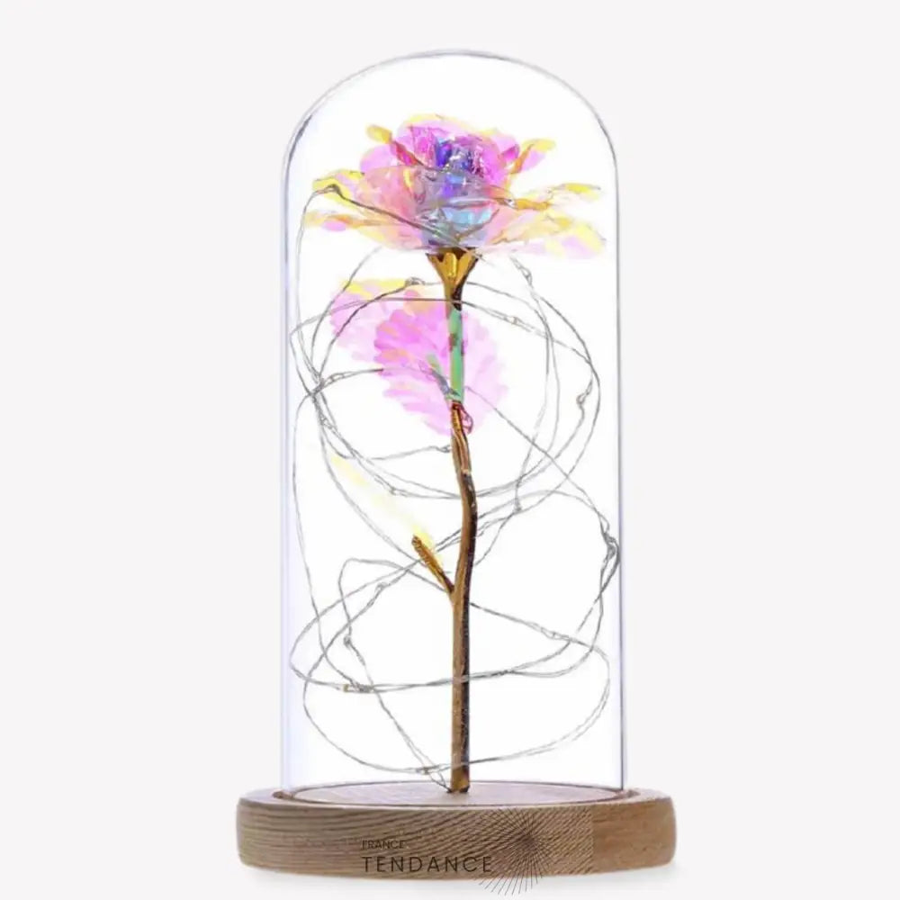 Rose éternelle Lumineuse | France-Tendance