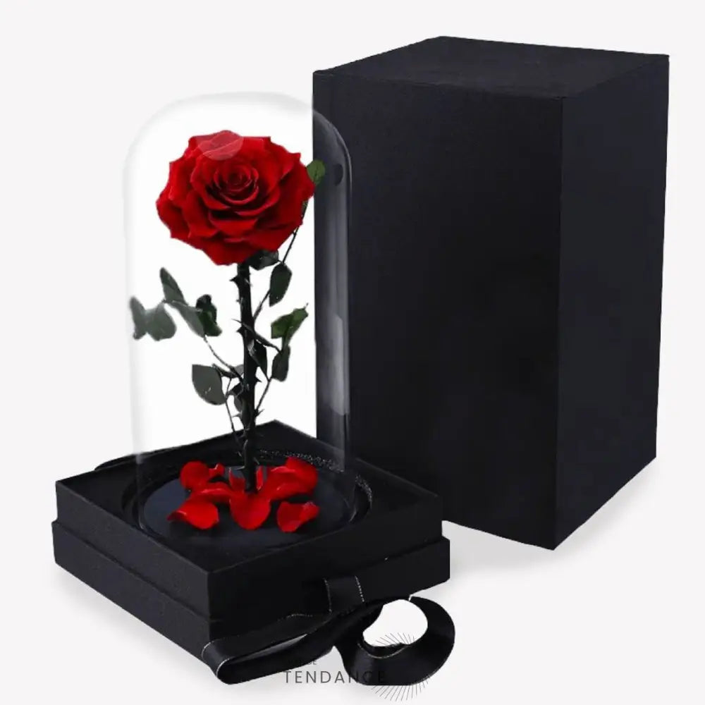 Rose éternelle Rouge En Boîte | France-Tendance