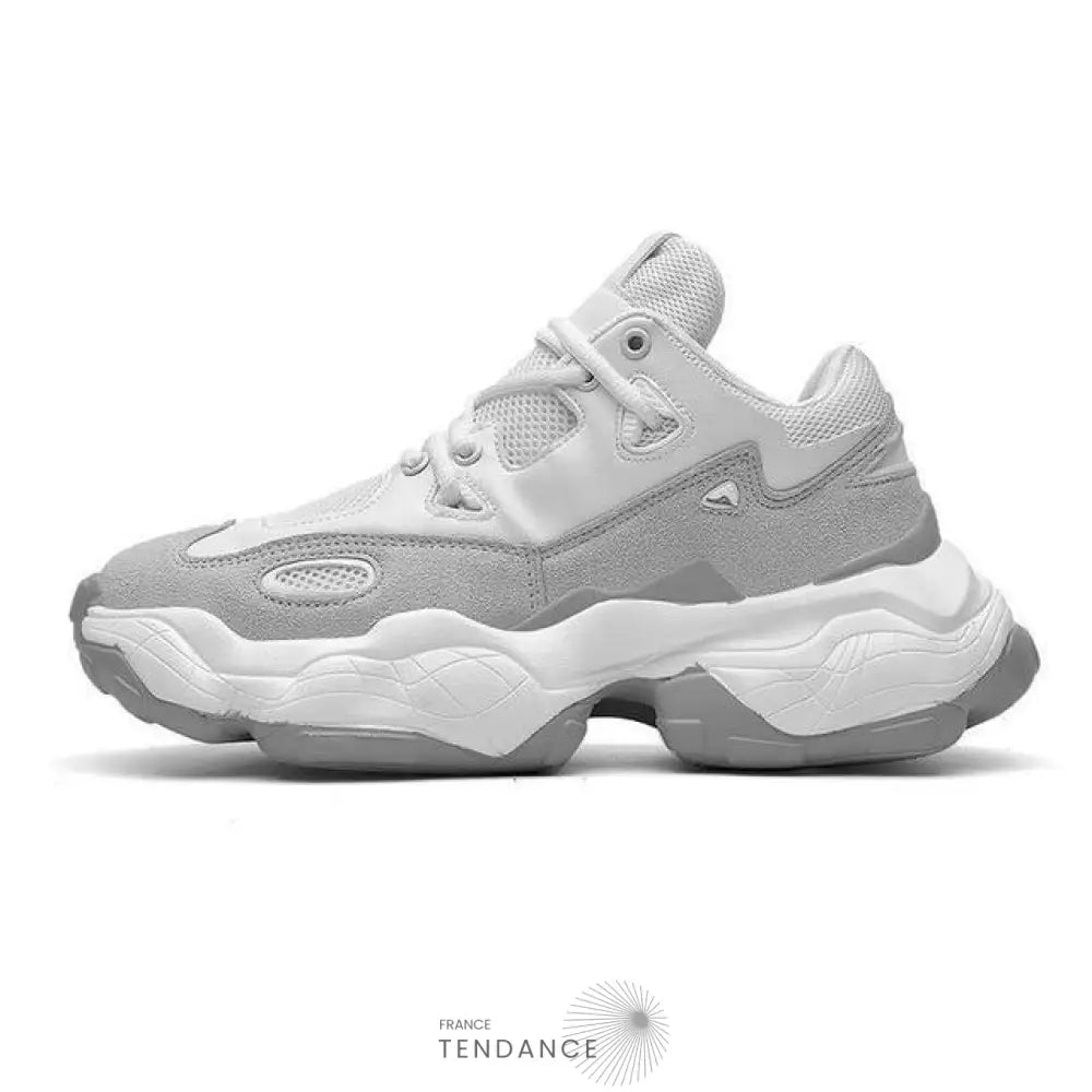 Baskets Jurassic | France-Tendance