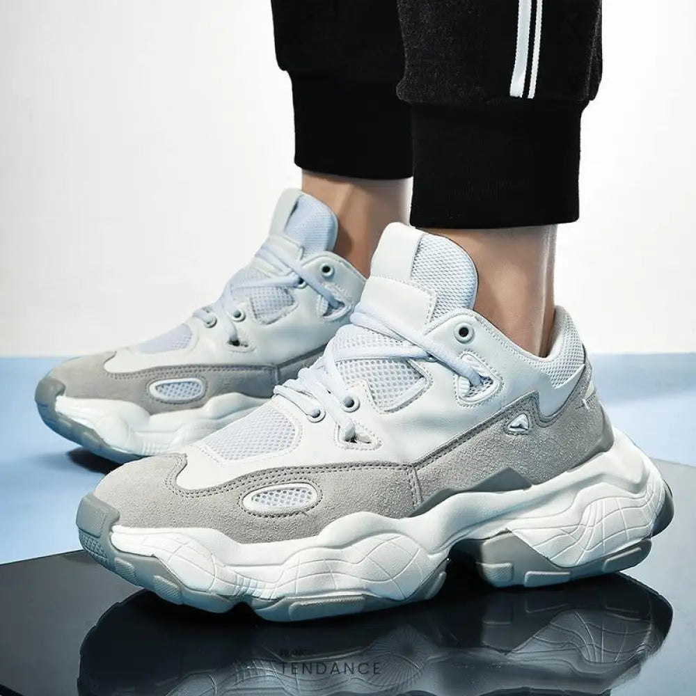 Baskets Jurassic | France-Tendance