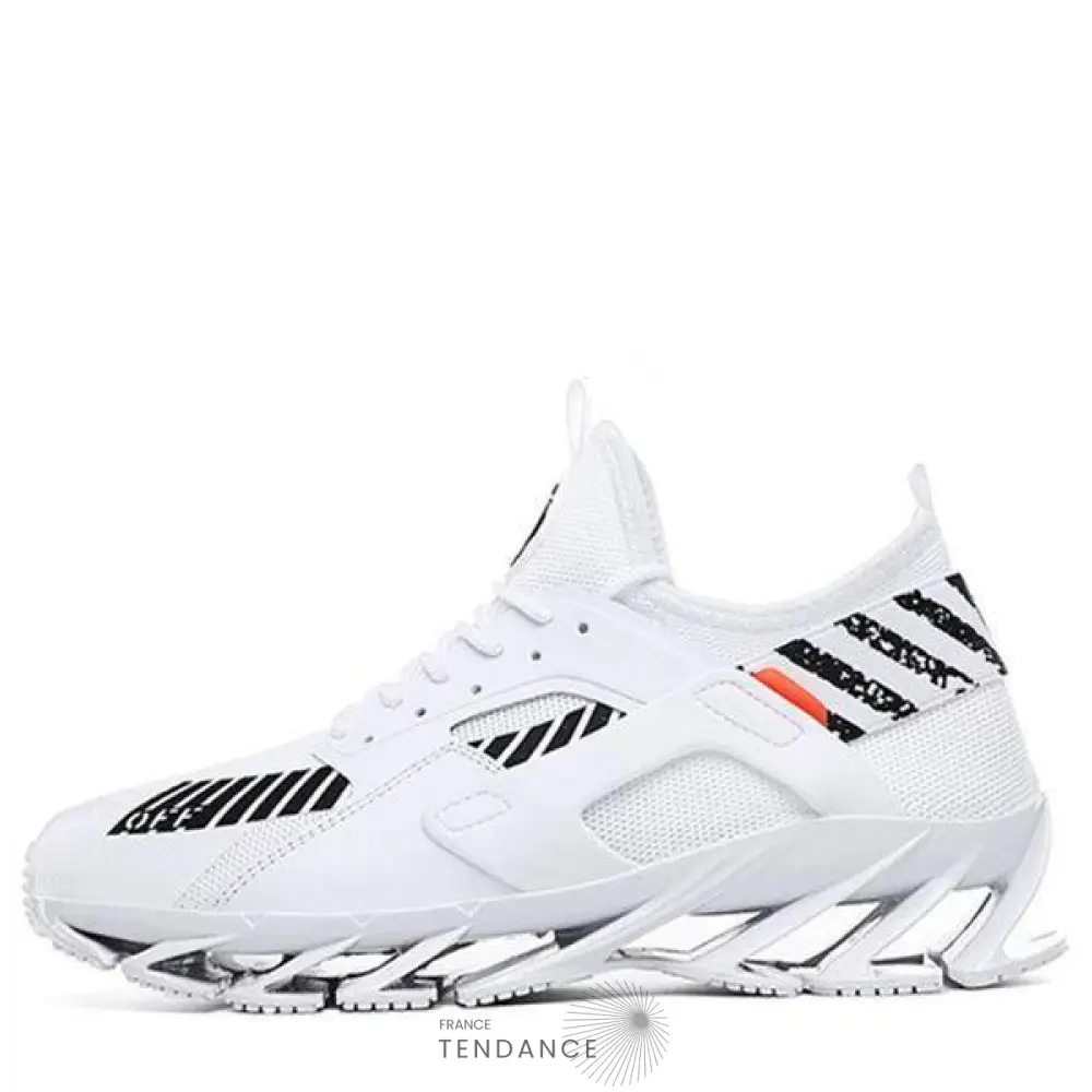Baskets Wolf | France-Tendance
