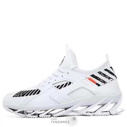 Baskets Wolf | France-Tendance