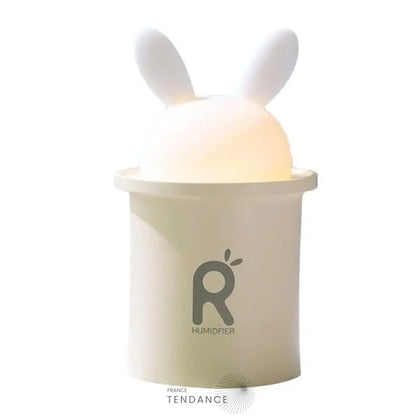 Diffuseur D’huiles Essentielles Cosy | France-Tendance