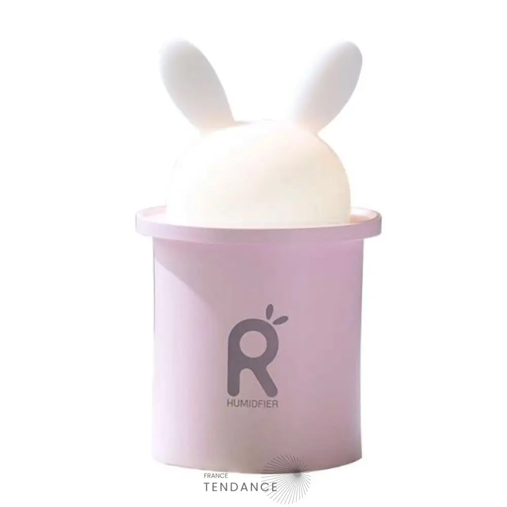 Diffuseur D’huiles Essentielles Cosy | France-Tendance