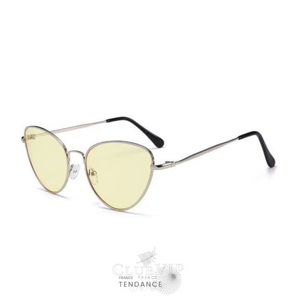 Lunettes De Soleil Rétro | France-Tendance