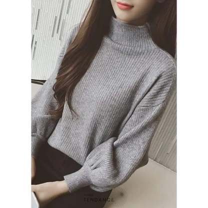 Pull Turtleneck | France-Tendance