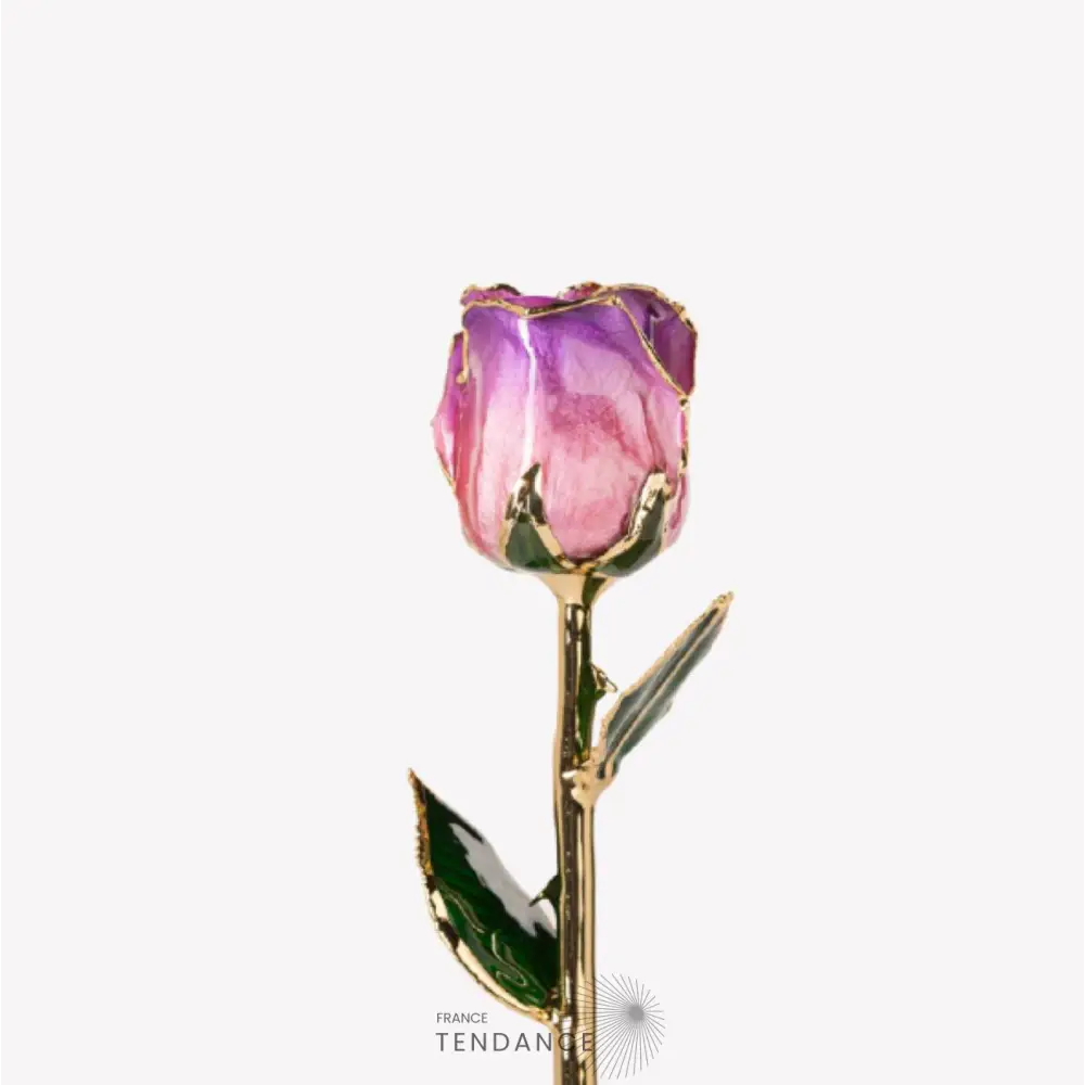Rose En Or Et Violette | France-Tendance