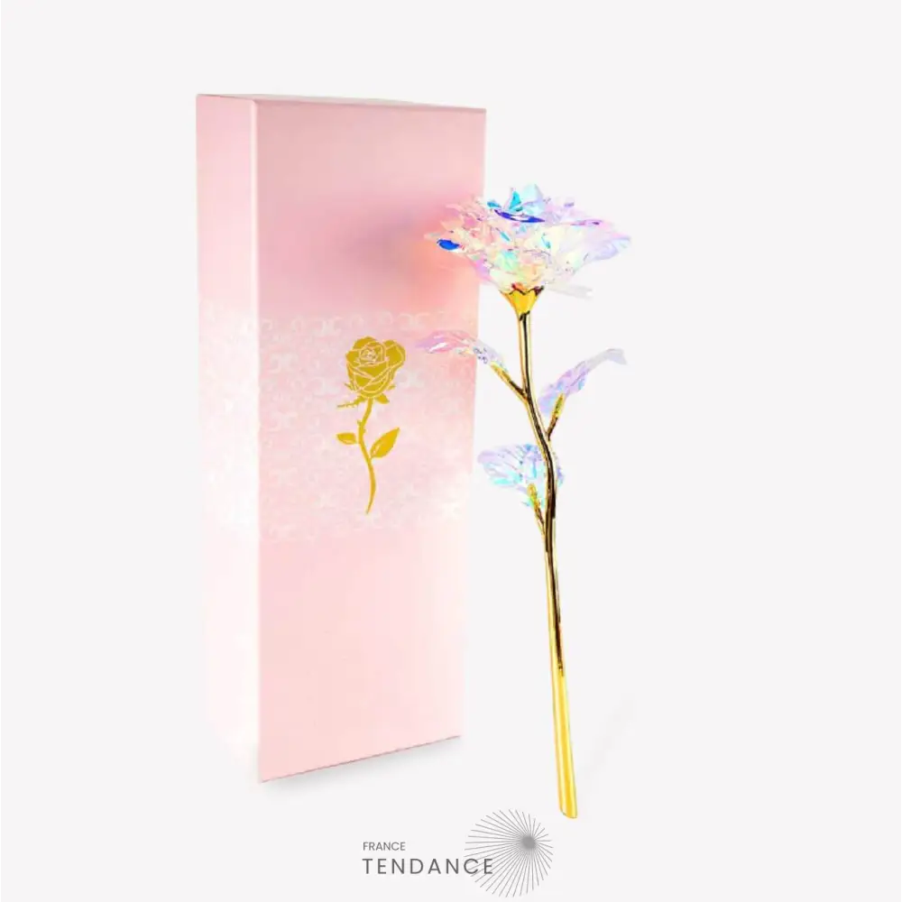 Rose Galaxy | France-Tendance