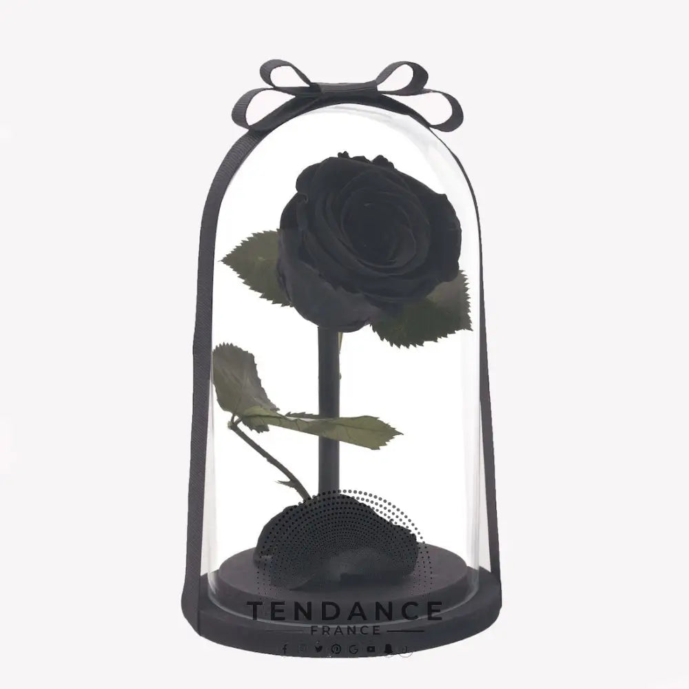 Rose éternelle Noire | France-Tendance