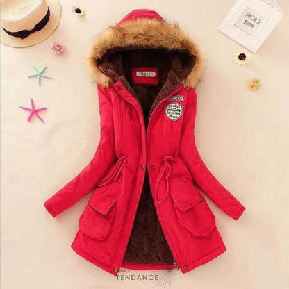 Superbe Manteau Pour Femme 2020 | France-Tendance