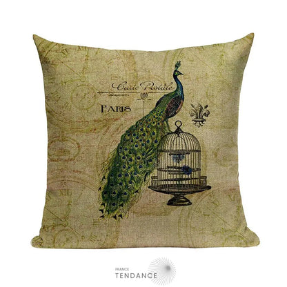 Taie De Coussin Décorative 45x45 - Série Paris |