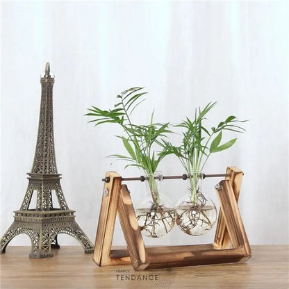 Terrarium Avec Support En Bois | France-Tendance