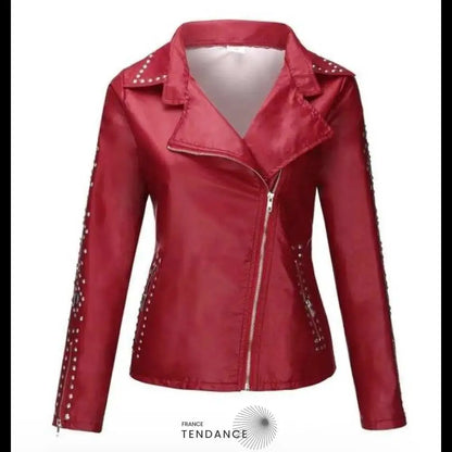 Veste En Cuir Métal Décontractée | France-Tendance